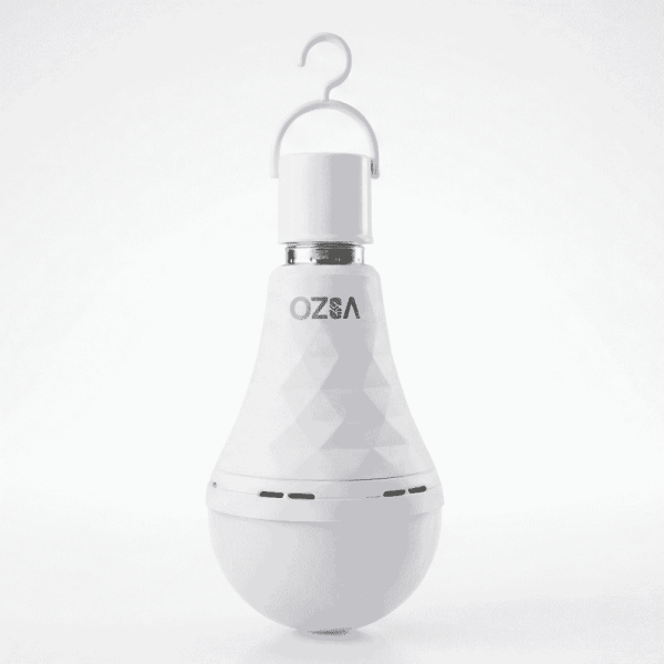 VIZO AC/DC LED Bulb