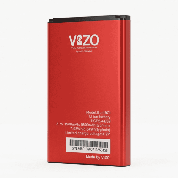 VIZO 29CI